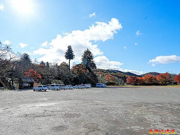 pic pimg tw look2up 1736916978 4107106891 g n jpg