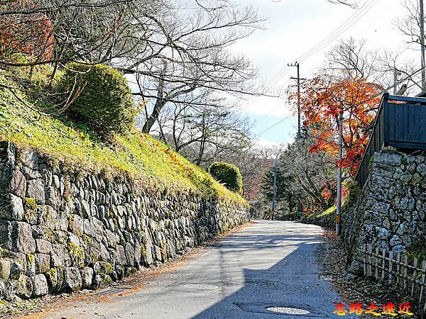 pic pimg tw look2up 1736916978 880500394 g n jpg