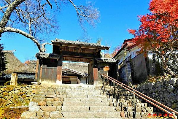 pic pimg tw look2up 1736916981 2412048088 g n jpg