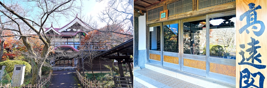 pic pimg tw look2up 1736916981 377382277 g l jpg