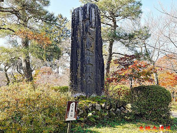 pic pimg tw look2up 1736916981 438394906 g n jpg