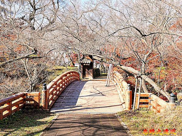 pic pimg tw look2up 1736916983 1207705317 g n jpg