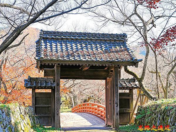 pic pimg tw look2up 1736916984 1764362893 g n jpg