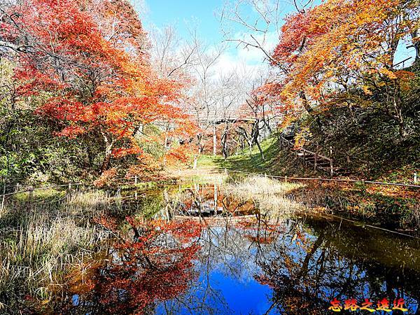 pic pimg tw look2up 1736916985 2638406527 g n jpg