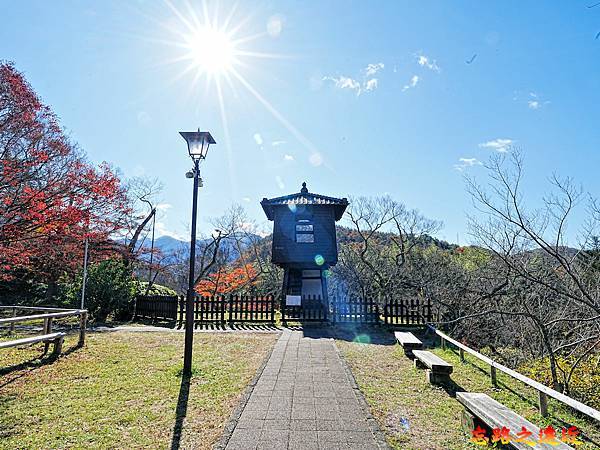 pic pimg tw look2up 1736916986 2257418020 g n jpg