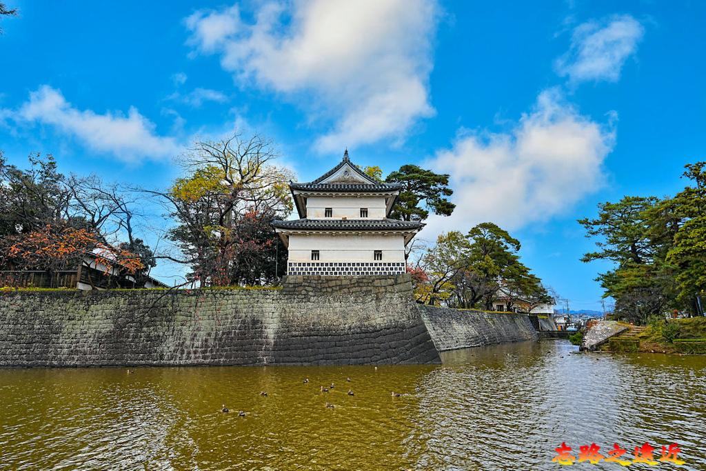 pic pimg tw look2up 1737350650 3246605567 g l jpg