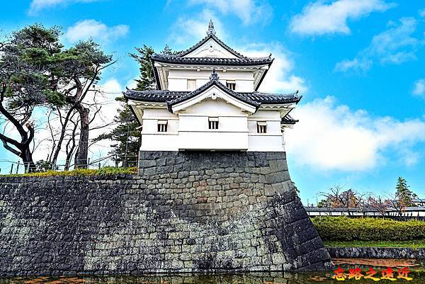 pic pimg tw look2up 1737350650 3703708284 g n jpg