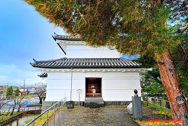 pic pimg tw look2up 1737350659 3814336296 g n jpg