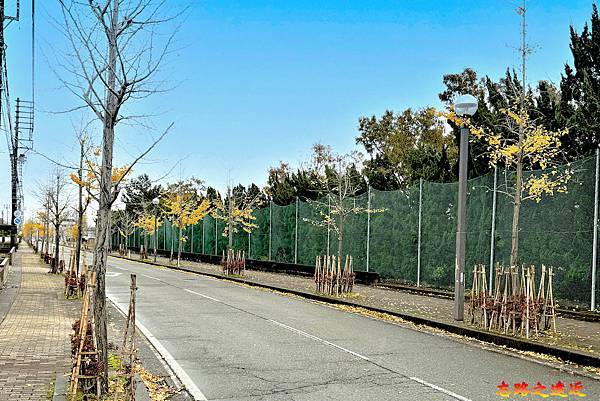 pic pimg tw look2up 1738468683 1442164446 g n jpg