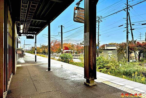 pic pimg tw look2up 1738468683 483246259 g n jpg