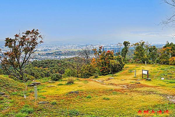 pic pimg tw look2up 1738468689 3598890329 g n jpg