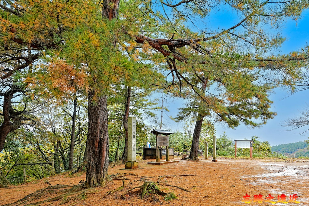 pic pimg tw look2up 1738468692 3070688351 g l jpg