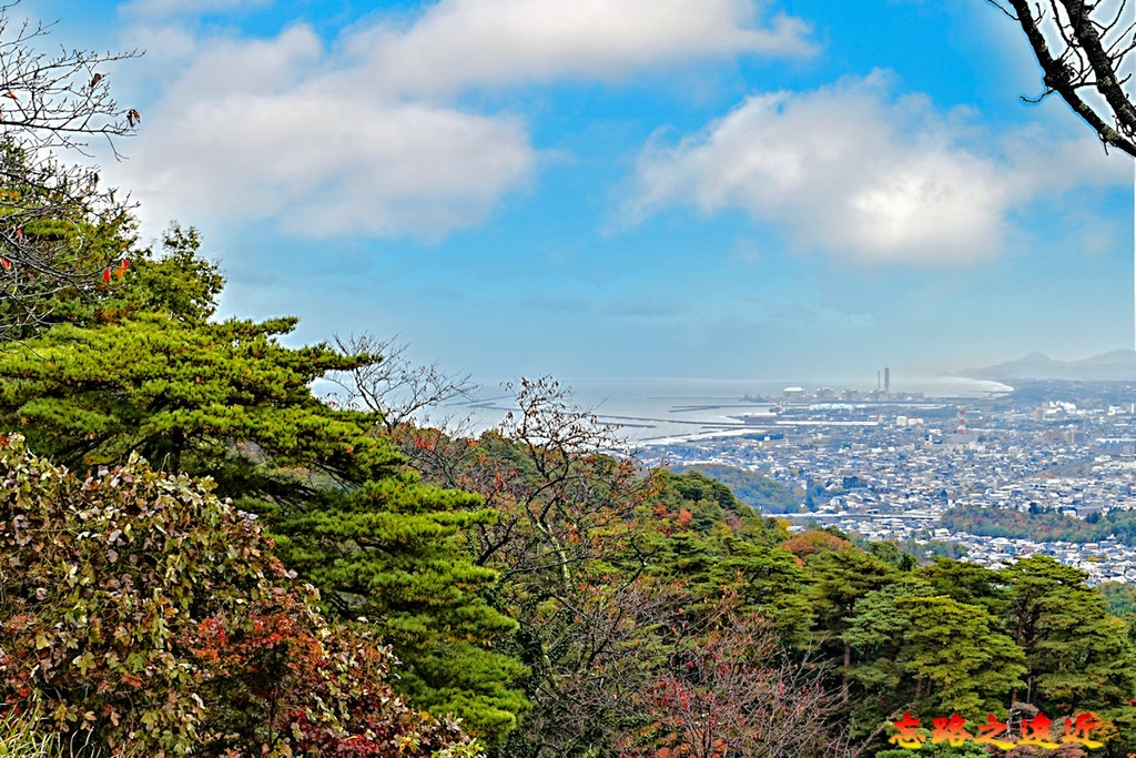 pic pimg tw look2up 1738468692 663891772 g l jpg