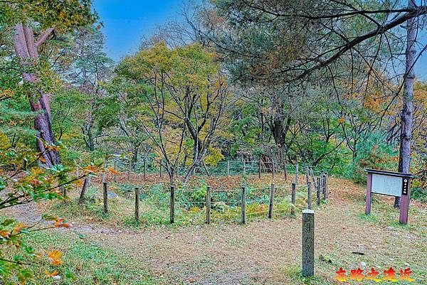 pic pimg tw look2up 1738468695 2469356587 g n jpg