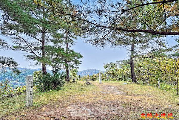 pic pimg tw look2up 1738468696 3526232333 g n jpg