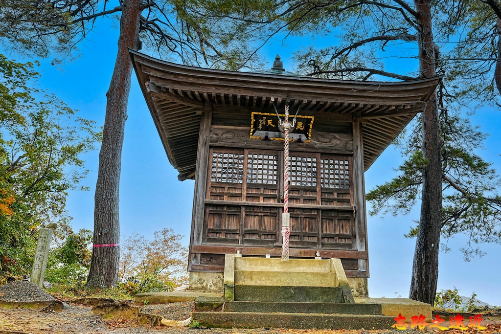 pic pimg tw look2up 1738468699 2481849997 g l jpg