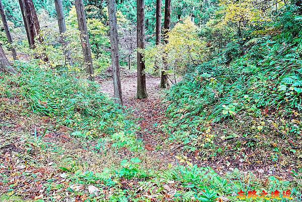 pic pimg tw look2up 1738468700 1873691080 g n jpg