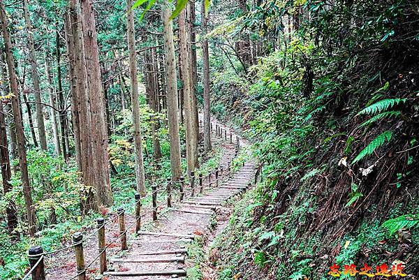 pic pimg tw look2up 1738468702 3520282690 g n jpg