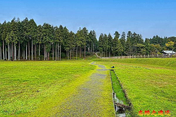 pic pimg tw look2up 1738468705 532028876 g n jpg