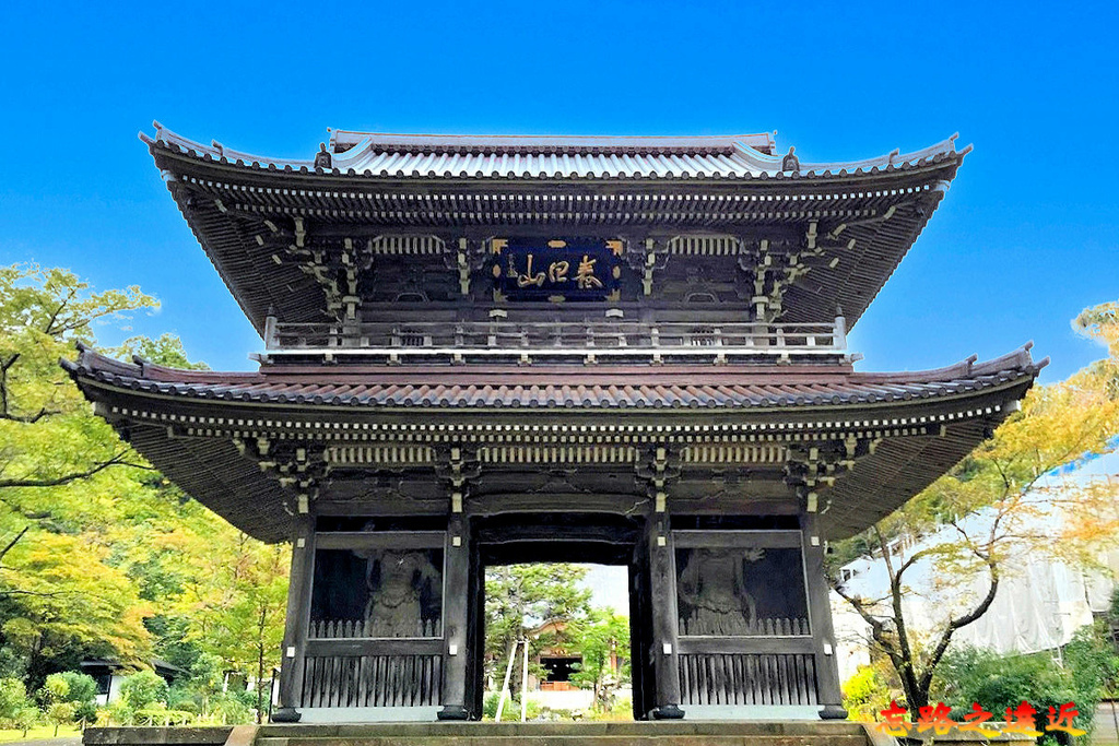 pic pimg tw look2up 1738468707 3136742842 g l jpg