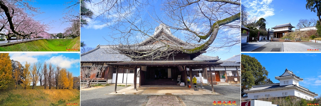 pic pimg tw look2up 1739244443 2819598175 g l jpg