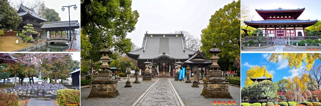 pic pimg tw look2up 1739245848 4230157626 g l jpg