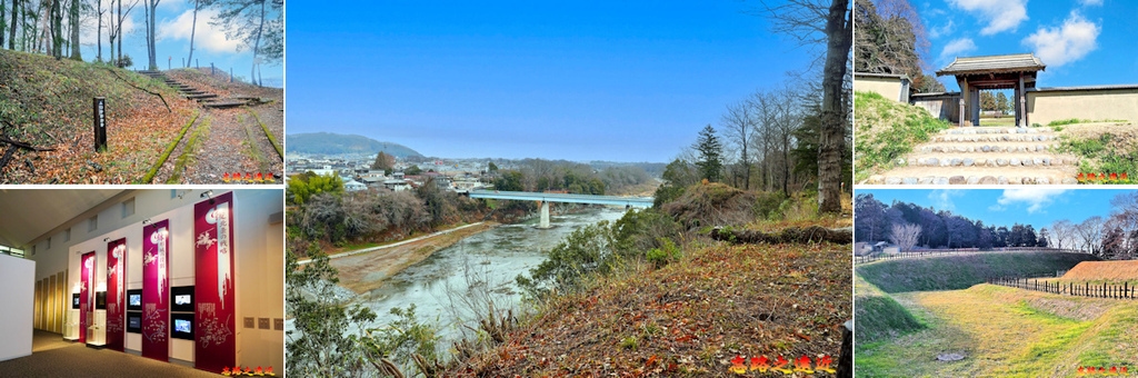 pic pimg tw look2up 1739248740 2259453547 g l jpg