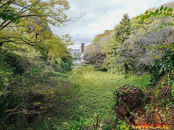 【日本百大名城33】北陸篇-高岡城~完整保存護城堀與曲輪配置原貌 (Takaoka Castle) 5 pic pimg tw look2up 1739934769 2557877661 g n jpg