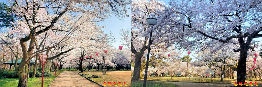 【日本百大名城33】北陸篇-高岡城~完整保存護城堀與曲輪配置原貌 (Takaoka Castle) 14 pic pimg tw look2up 1739934783 892752558 g l jpg