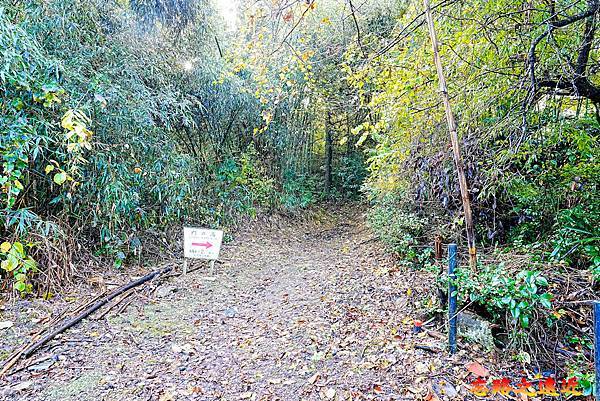 pic pimg tw look2up 1740382040 993080620 g n jpg