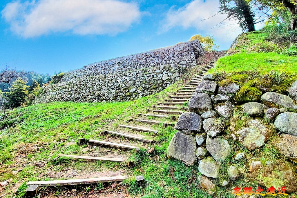 pic pimg tw look2up 1740382044 3801168400 g l jpg