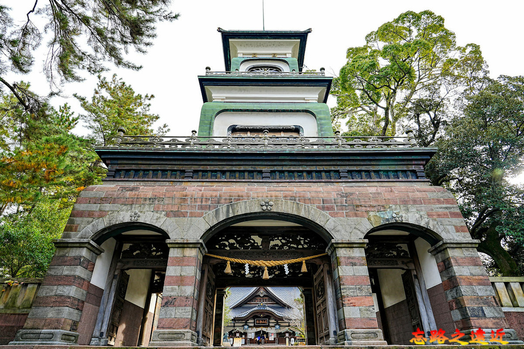 pic pimg tw look2up 1741234485 3496374585 g l jpg