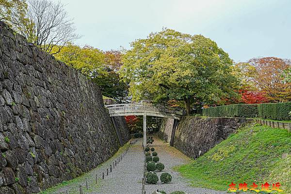 pic pimg tw look2up 1742525184 2688219265 g n jpg