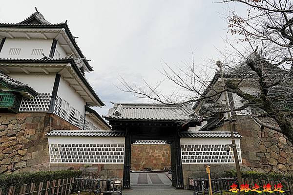 pic pimg tw look2up 1742525193 3301121669 g n jpg