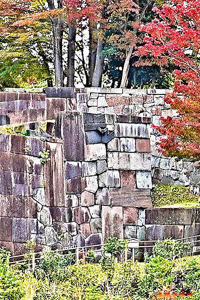 pic pimg tw look2up 1742529503 2770398872 g n jpg