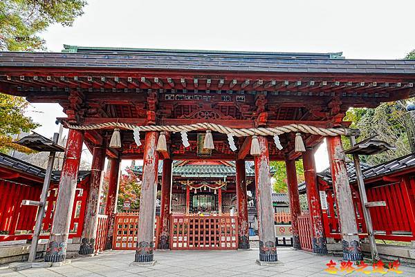 pic pimg tw look2up 1742611387 3280491489 g n jpg