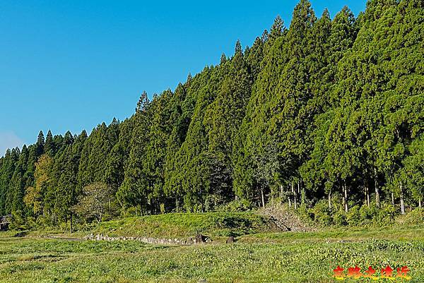 【日本百大名城37】北陸篇-一乘谷城~體驗日本戰國時期「北陸小京都」的風華 (Ichijodani castle) 4 pic pimg tw look2up 1744604614 3299326561 g n jpg