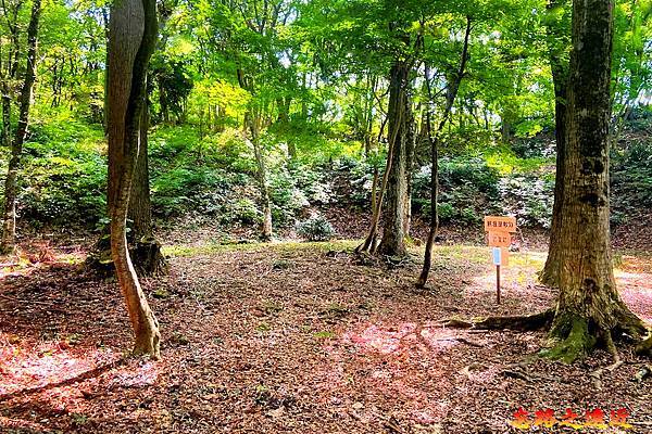 【日本百大名城37】北陸篇-一乘谷城~體驗日本戰國時期「北陸小京都」的風華 (Ichijodani castle) 35 pic pimg tw look2up 1744604655 1491736031 g n jpg