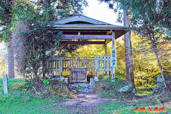 【日本百大名城38】東海篇-岩村城~日本最高山城,充滿女城主怨念的悲劇之城 (Iwamura castle) 14 pic pimg tw look2up 1745221370 403976700 g n jpg