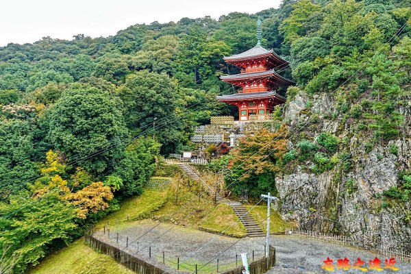 金華山纜車眺望三重塔