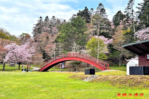子野日公園紅色拱橋